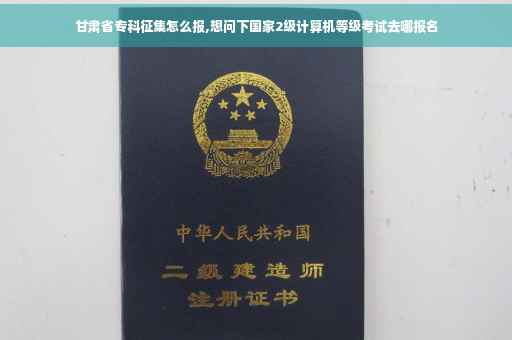 甘肃省专科征集怎么报,想问下国家2级计算机等级考试去哪报名