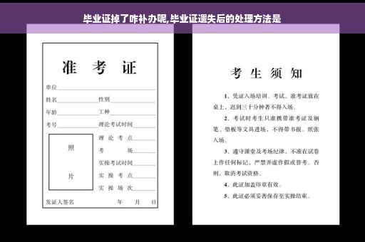 毕业证掉了咋补办呢,毕业证遗失后的处理方法是