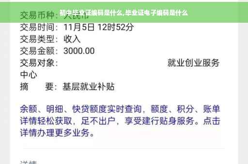 初中毕业证编码是什么,毕业证电子编码是什么