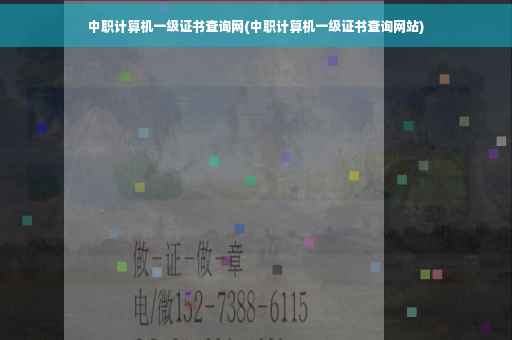 中职计算机一级证书查询网(中职计算机一级证书查询网站)