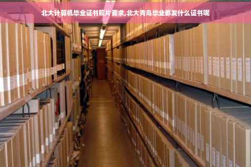 北大计算机毕业证书照片要求,北大青鸟毕业都发什么证书呢
