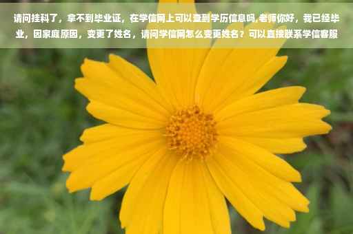 请问挂科了，拿不到毕业证，在学信网上可以查到学历信息吗,老师你好，我已经毕业，因家庭原因，变更了姓名，请问学信网怎么变更姓名？可以直接联系学信客服吗？谢谢