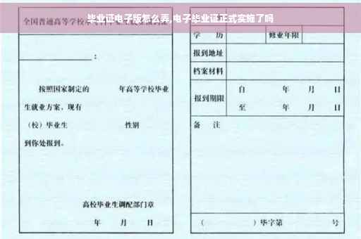 毕业证电子版怎么弄,电子毕业证正式实施了吗