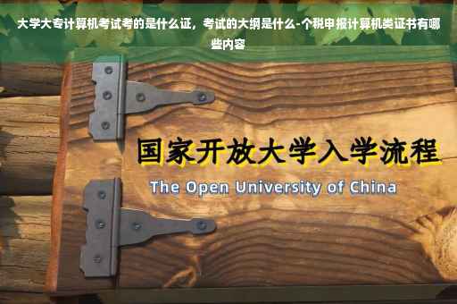 大学大专计算机考试考的是什么证,考试的大纲是什么-个税申报计算机类证书有哪些内容 大学大专计算机考试考的是什么证,考试的大纲是什么-个税申报计算机类证书有哪些内容