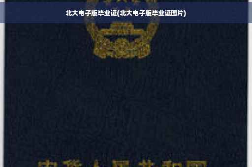 北大电子版毕业证(北大电子版毕业证图片)