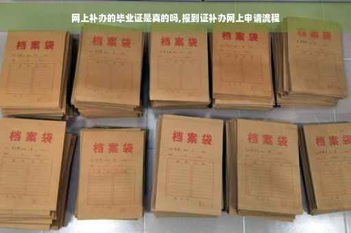 网上补办的毕业证是真的吗,报到证补办网上申请流程