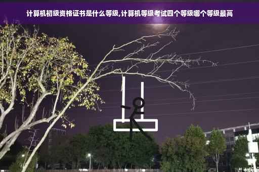 计算机初级资格证书是什么等级,计算机等级考试四个等级哪个等级最高