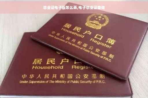 毕业证电子版怎么弄,电子毕业证查询