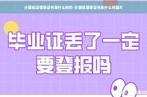 计算机证等级证书是什么样的-计算机等级证书长什么样图片