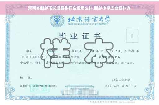 河南省新乡市长垣县补行车证怎么补,新乡小学毕业证补办