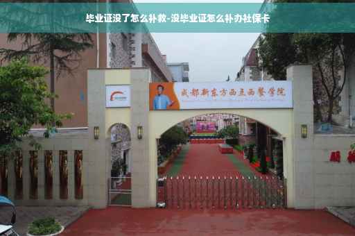 毕业证没了怎么补救-没毕业证怎么补办社保卡