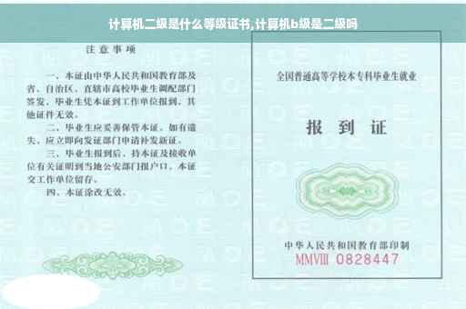 计算机二级是什么等级证书,计算机b级是二级吗