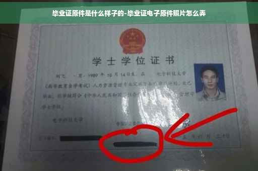 毕业证原件是什么样子的-毕业证电子原件照片怎么弄
