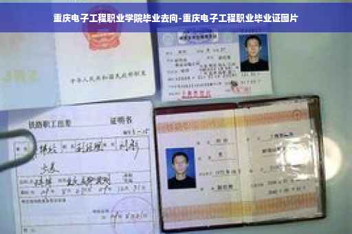 重庆电子工程职业学院毕业去向-重庆电子工程职业毕业证图片 重庆电子工程职业学院毕业去向-重庆电子工程职业毕业证图片