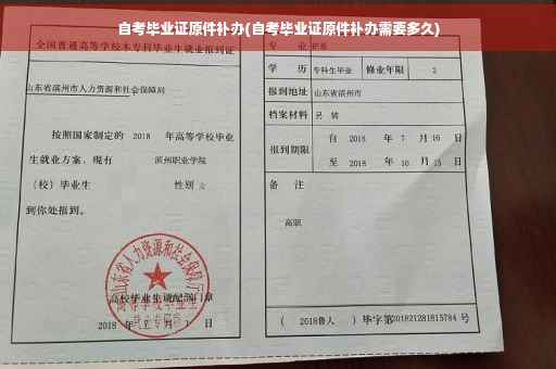 自考毕业证原件补办(自考毕业证原件补办需要多久)
