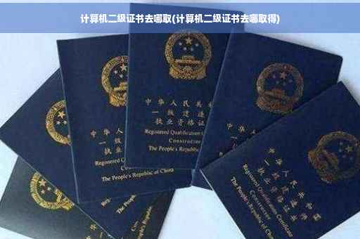 计算机二级证书去哪取(计算机二级证书去哪取得)