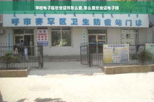 学校电子版毕业证书怎么查,怎么查毕业证电子档