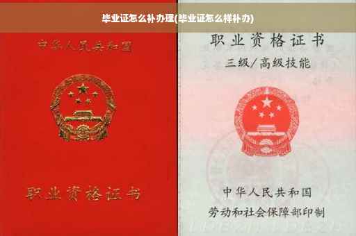 毕业证怎么补办理(毕业证怎么样补办)