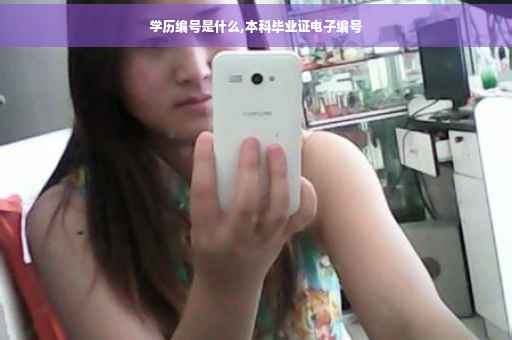 学历编号是什么,本科毕业证电子编号