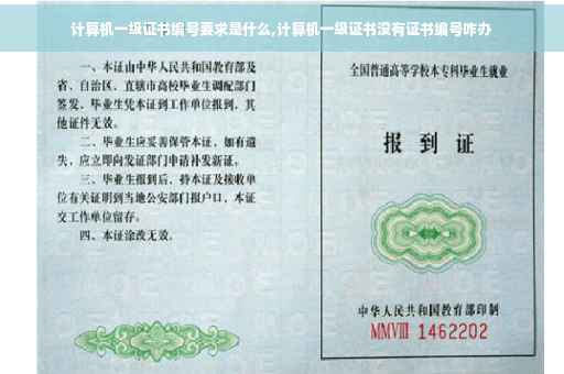计算机一级证书编号要求是什么,计算机一级证书没有证书编号咋办