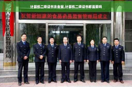计算机二级证书含金量,计算机二级证书都需要吗
