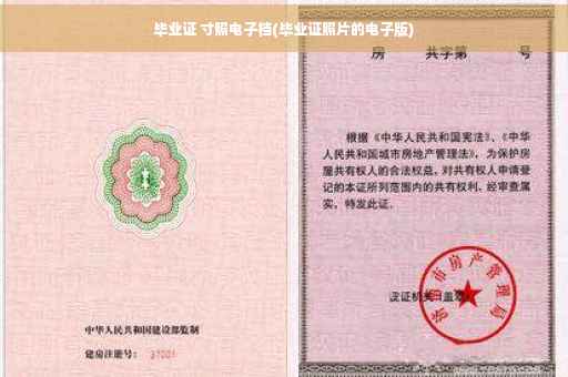 毕业证 寸照电子档(毕业证照片的电子版)
