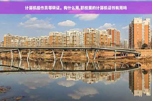 计算机操作员等级证。有什么用,职校里的计算机证书有用吗