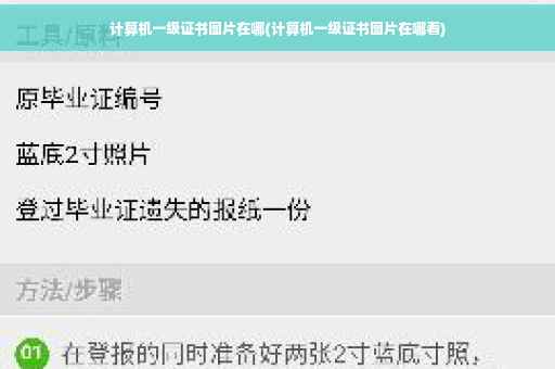 计算机一级证书图片在哪(计算机一级证书图片在哪看)