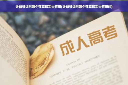 计算机证书哪个在直招军士有用(计算机证书哪个在直招军士有用的)