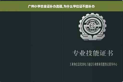 广州小学毕业证补办流程,为什么学位证不能补办