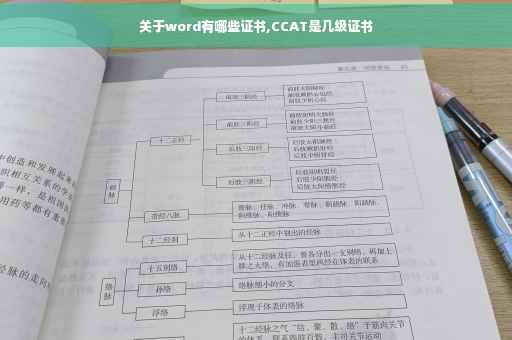 关于word有哪些证书,CCAT是几级证书