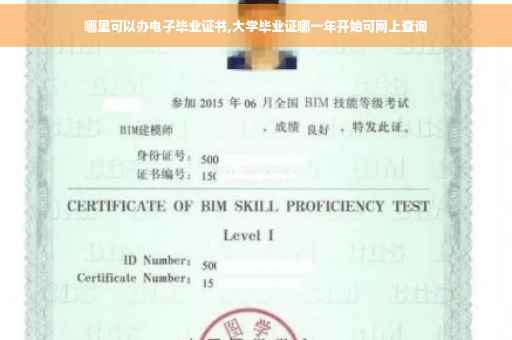 哪里可以办电子毕业证书,大学毕业证哪一年开始可网上查询