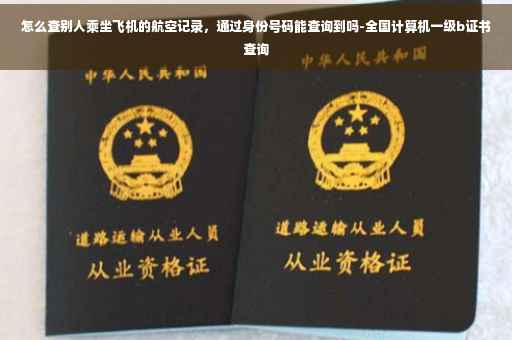 怎么查别人乘坐飞机的航空记录，通过身份号码能查询到吗-全国计算机一级b证书查询