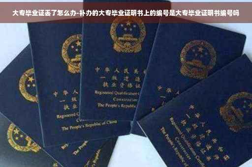大专毕业证丢了怎么办-补办的大专毕业证明书上的编号是大专毕业证明书编号吗