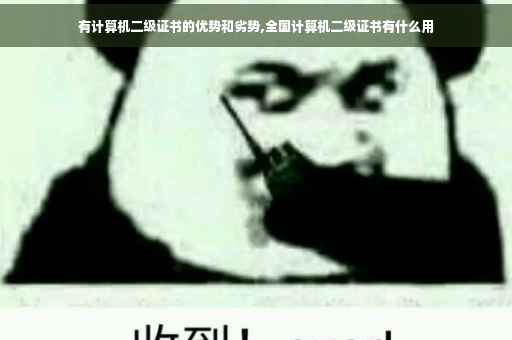 有计算机二级证书的优势和劣势,全国计算机二级证书有什么用