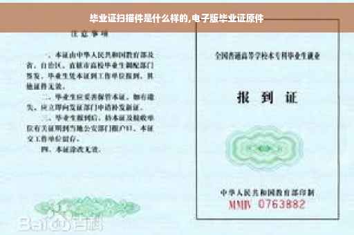 毕业证扫描件是什么样的,电子版毕业证原件