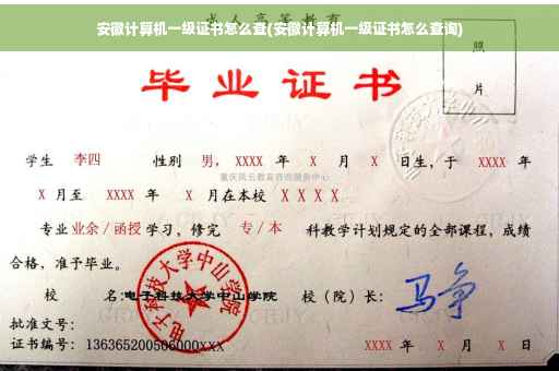 安徽计算机一级证书怎么查(安徽计算机一级证书怎么查询)
