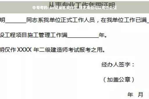 中专考的cad证全名叫什么,环艺专业可以考什么证