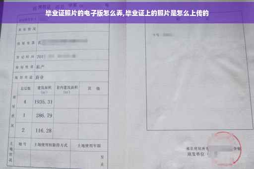 毕业证照片的电子版怎么弄,毕业证上的照片是怎么上传的