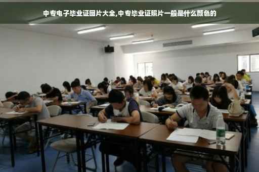 中专电子毕业证图片大全,中专毕业证照片一般是什么颜色的