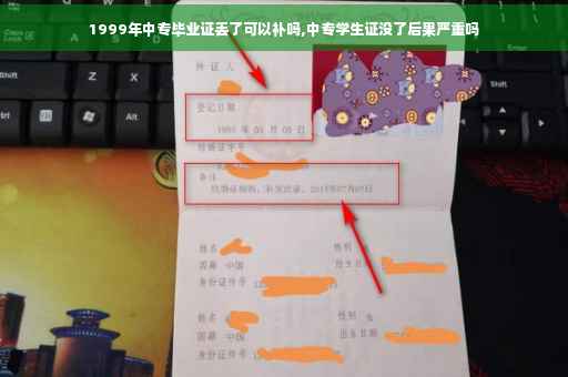 1999年中专毕业证丢了可以补吗,中专学生证没了后果严重吗