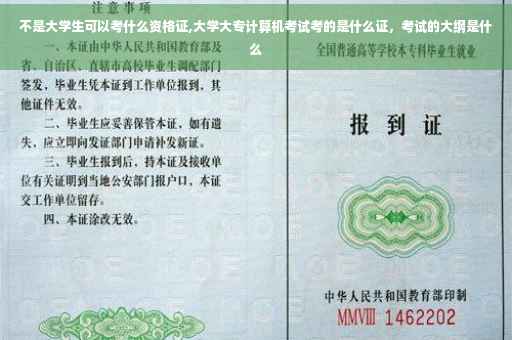 不是大学生可以考什么资格证,大学大专计算机考试考的是什么证，考试的大纲是什么