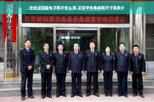 毕业证同版电子照片怎么弄,正常学生集体照尺寸是多少