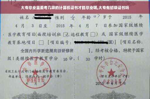 大专毕业需要考几级的计算机证书才能毕业呢,大专有初级证书吗
