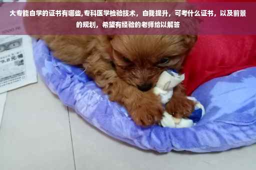 大专能自学的证书有哪些,专科医学检验技术，自我提升，可考什么证书，以及前景的规划，希望有经验的老师给以解答