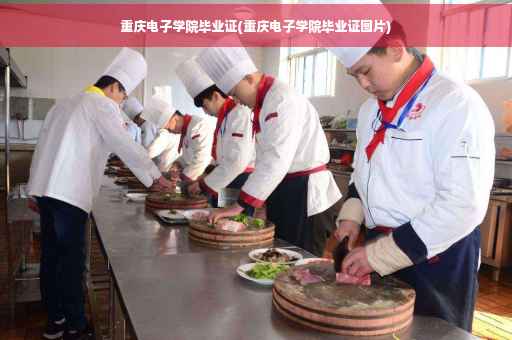 重庆电子学院毕业证(重庆电子学院毕业证图片)