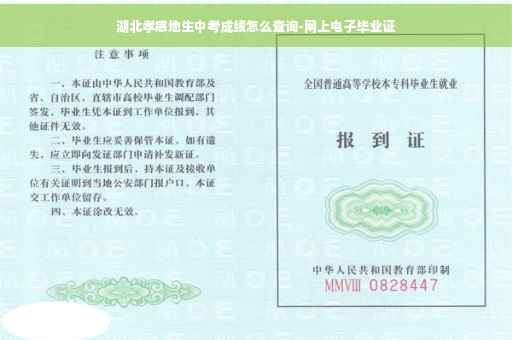 湖北孝感地生中考成绩怎么查询-网上电子毕业证