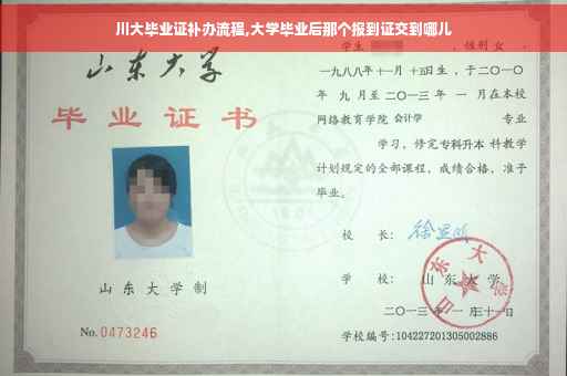 川大毕业证补办流程,大学毕业后那个报到证交到哪儿