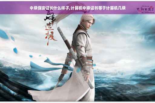 中级保安证长什么样子,计算机中级证书等于计算机几级