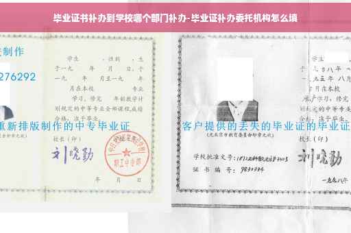 毕业证书补办到学校哪个部门补办-毕业证补办委托机构怎么填